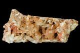 Natural, Red Quartz Crystal Cluster - Morocco #142944-2